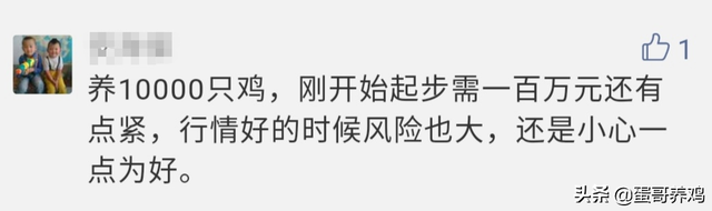 养1万蛋鸡一年收入100万？网友：赚大发了！蛋友：别再骗人养鸡了