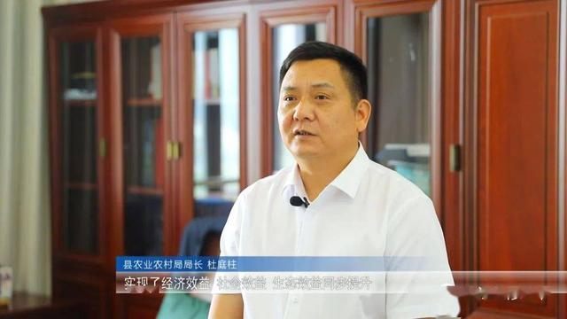 稻虾田间，探索出了养虾“致富经”，苦练成了虾产业“增收诀”！