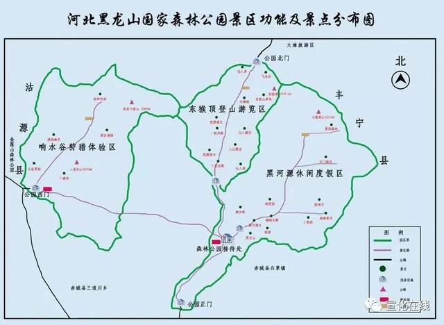 张家口赤城黑龙山森林公园花草丰盛蝶飞蜂舞