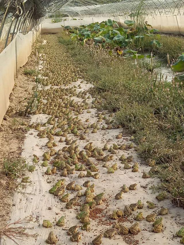 宿州每日资讯