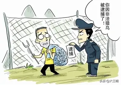 将乐四人猎捕竹鼠受处罚？并非你想象那么简单