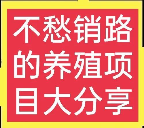 十个不用担心销路的养殖项目(2)谁养谁知道，看完请收藏