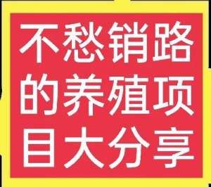 养殖基围虾利润(十个不用担心销路的养殖项目(2)谁养谁知道，看完请收藏)