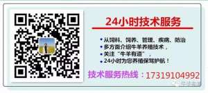 养殖场的项目实施方案(养羊基地建设、实施方案)