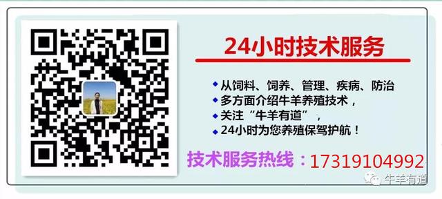 养羊基地建设、实施方案