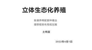 生态养殖场计划书(立体生态化养殖，鱼塘养鸭配套种植业的理想框架布局规划案)