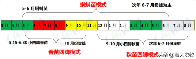 包产54.6斤！创湖州地区牛蛙养殖高包产纪录！