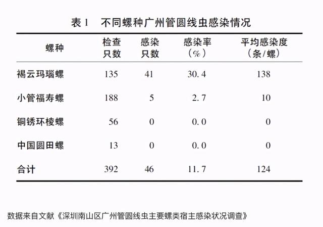 非洲大蜗牛中国泛滥成灾，非洲人的超级美味，中国吃货却不敢吃