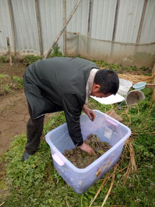 小小青蛙“叫响”海山村的致富路