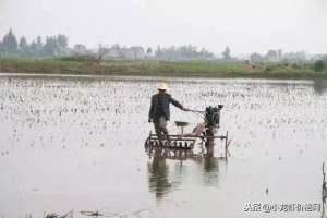 小龙虾养殖水深条件(小龙虾养殖水深要不要紧？水位太深是否有影响？)