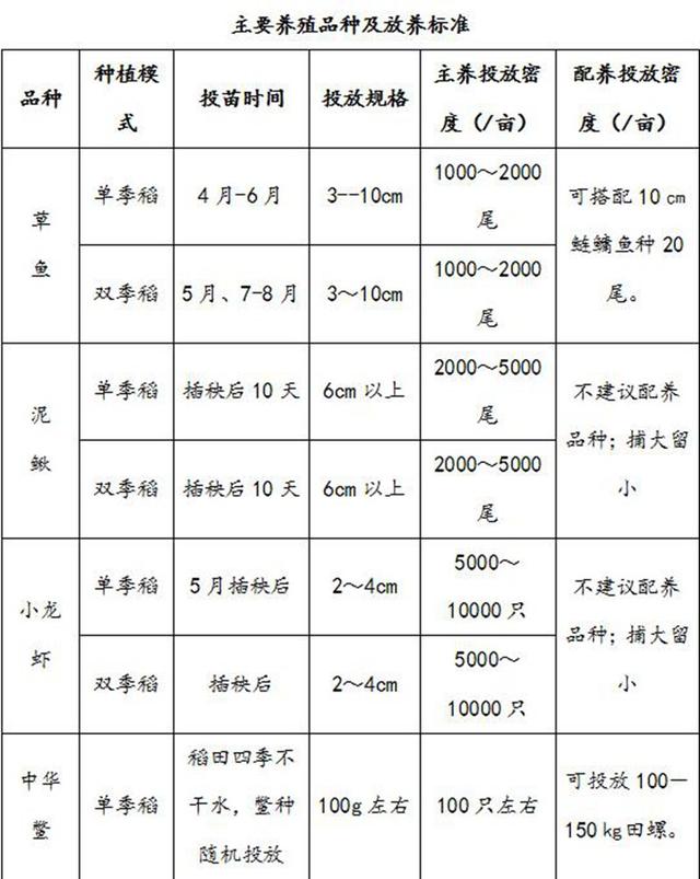 把鱼养在稻田里：稻渔综合种养新技术有哪些“诀窍”？