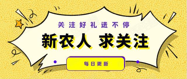 黄羽肉鸡出现疫病该怎么办？这几项防控措施，减少鸡病发生