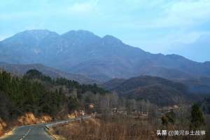 养殖山鸡房子图片(7旬农民大爷养山鸡被野生动物袭扰，请下不花钱保镖一举两得)