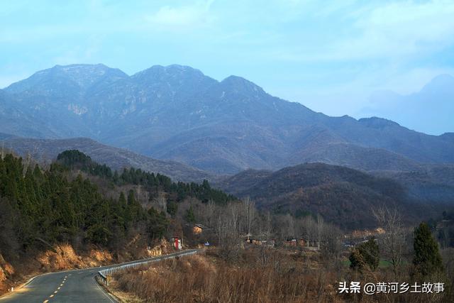 7旬农民大爷养山鸡被野生动物袭扰，请下不花钱保镖一举两得