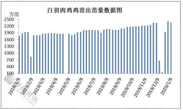 第四季度大肉食毛鸡养殖盈利分析及后市预测