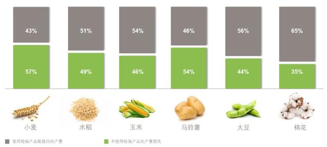 养虾需有“稻”—— 虾稻田水稻管理的意义和建议