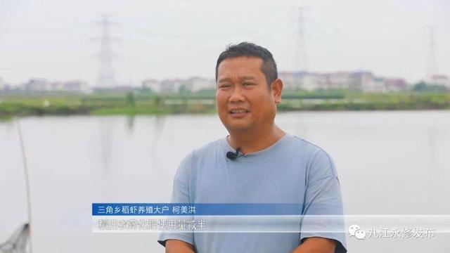 稻虾田间，探索出了养虾“致富经”，苦练成了虾产业“增收诀”！