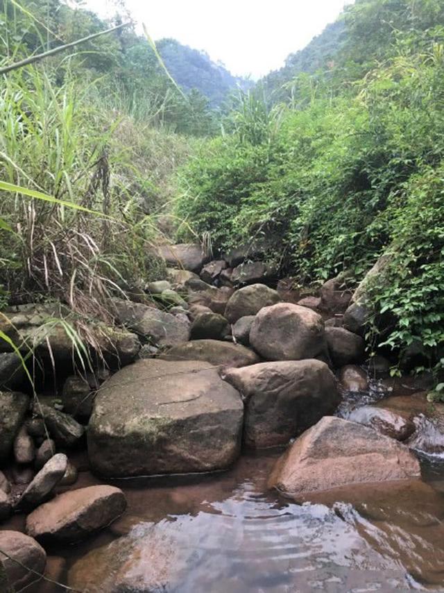 河道退水过后，有一种鱼开始泛滥了，红色的尾巴很值钱