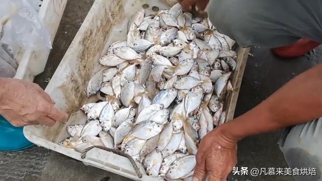 南海哪些海鲜不是养殖的，是海捕的？跟着觅大叔了解南海海鲜大全