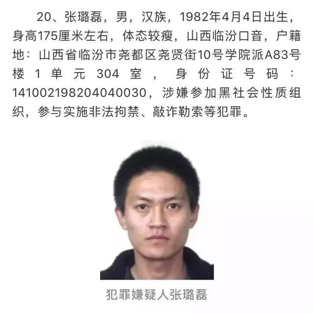 临汾“毒蝎帮”要犯张璐磊回国投案