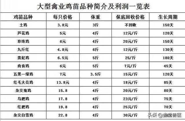 养鸡秘籍：合同养鸡，养合同鸡，真正的套路你了解多少？