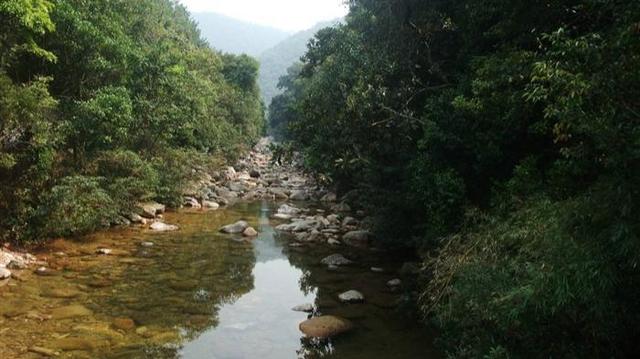 广西十万大山有一种山坑螺，为何没有尾巴，专家说：原因只有一点