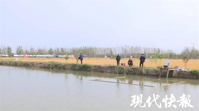 江苏邳州：种植鲜切花、养殖黄骨鱼，百姓走上致富路