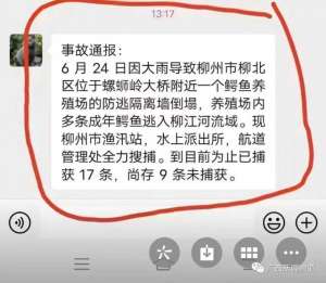 鳄鱼养殖 内涵段子(多条成年鳄鱼逃入柳江9条仍在逃？记者实地走访探明真相)