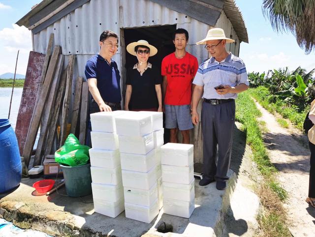 养鱼虾喂山羊，潮南区实施产业扶贫助贫困户走出致富路