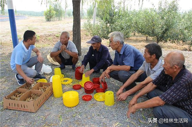 桂林兴安4名扶贫干部被疑“投资”养鸡！出资购鸡交由贫困户养，然后“赚差价”？