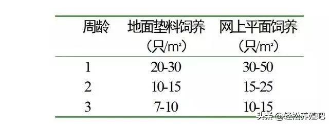 2020，新手养鸭经验分享