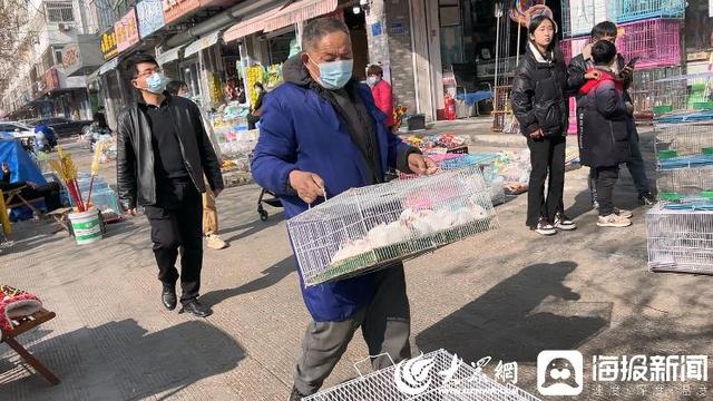 新春走基层丨兔年“顶流”实至名归！济宁花鸟鱼虫市场萌兔走俏