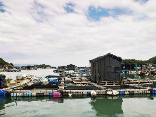 海上渔村半日游，体验渔活，享用美味海鲜粥