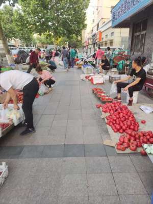 青岛蝎子养殖基地(青岛夜市上这两样重口味东西，作为一个吃货，我一直没敢尝试)