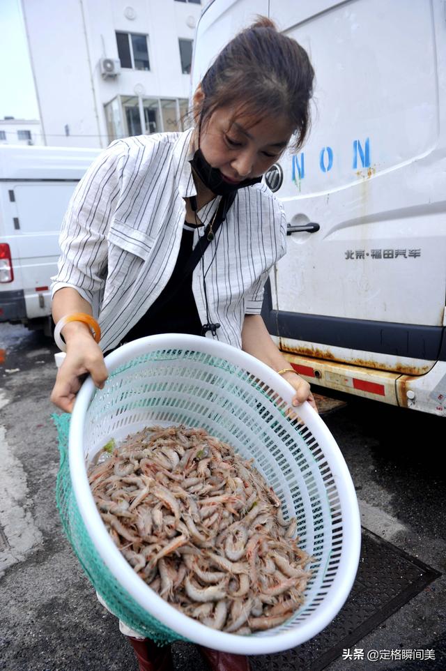 开海吃鲜大虾热宠，野生VS养殖价格相差数倍，买错了吃亏的就是你