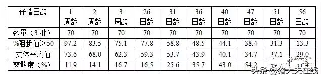 合理的猪瘟免疫程序，养猪人你知道吗？