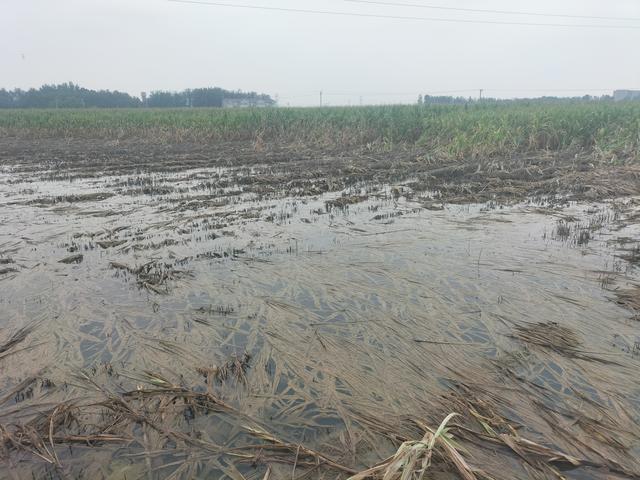 养殖业种植业专治各种不服，自己以及身边朋友，就是鲜明例子