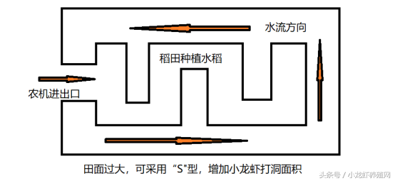 小龙虾养殖红火，想赚钱，稻虾池塘选址及设计图方案大全请带走！