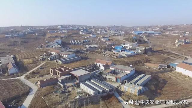 【农广天地】提高兔宝宝成活率 学学这几招