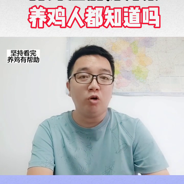 注射油苗加头孢利高，一举两得！#散养土鸡