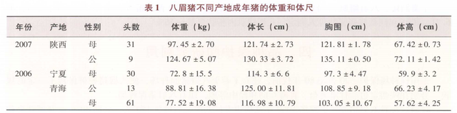 八眉猪