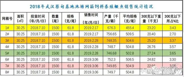 鳜鱼用饲料养殖行不行？带你一探究竟