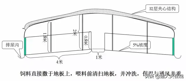 养猪人需要的好资料！高大上的猪舍布局设计图，看过决不后悔