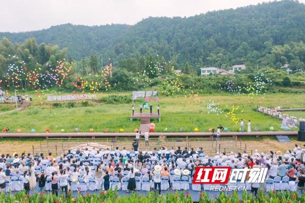 浏阳市高坪镇黑山羊 奔跑在乡村振兴的路上