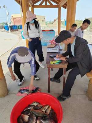 咸水湖养殖(担心海鲜不能吃？新疆沙漠边缘，盐碱水也能养鱼虾蟹)