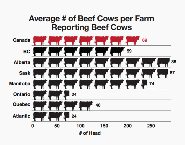 2021加拿大养牛业：草原三省占总养殖量76%，近七成牛肉去美国