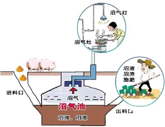 小伙建“高大上”五位一体全能大棚，种菜养猪零排放，猜挣多少钱