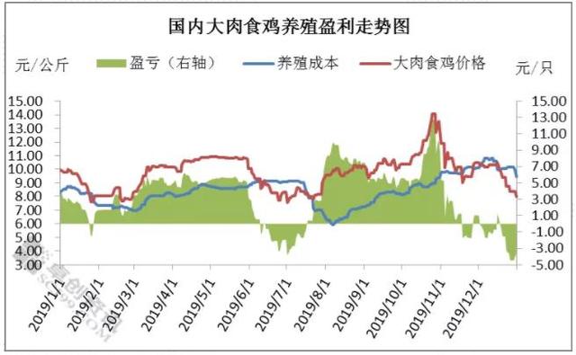 第四季度大肉食毛鸡养殖盈利分析及后市预测