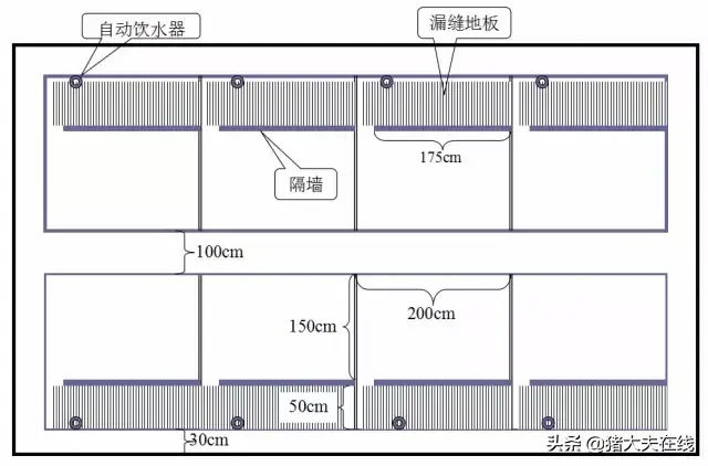 养猪人需要的好资料！高大上的猪舍布局设计图，看过决不后悔