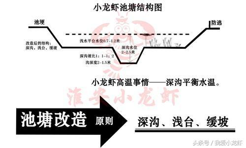 年底，给大家梳理一下养虾的整个流程，并附上每一步具体操作方法